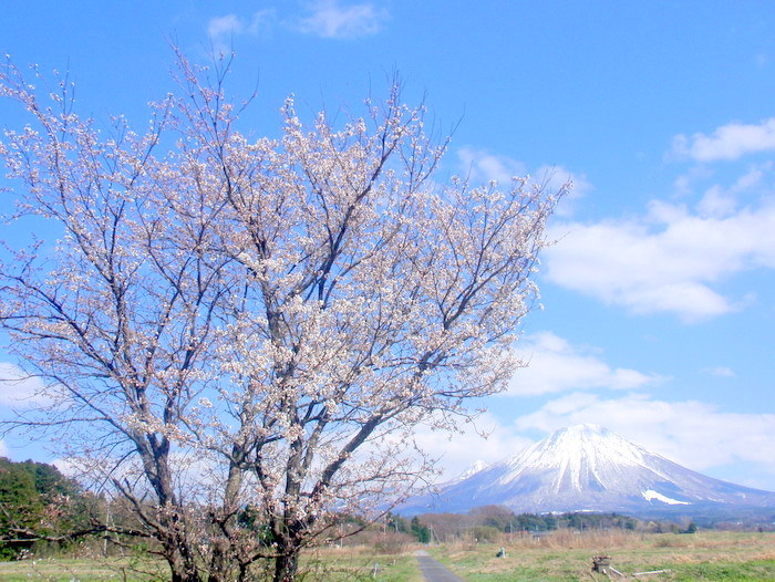photo5