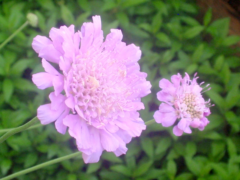 photo8